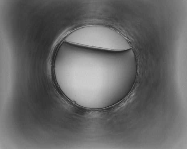 X0000112030341200908031026