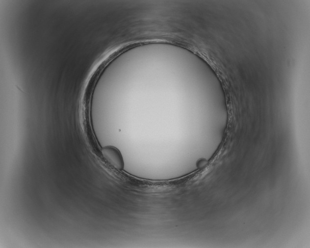 X0000112030342200908031026