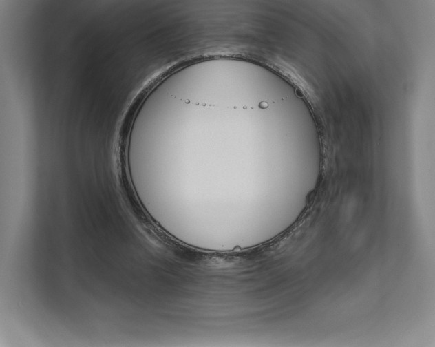 X0000112030346200908031026