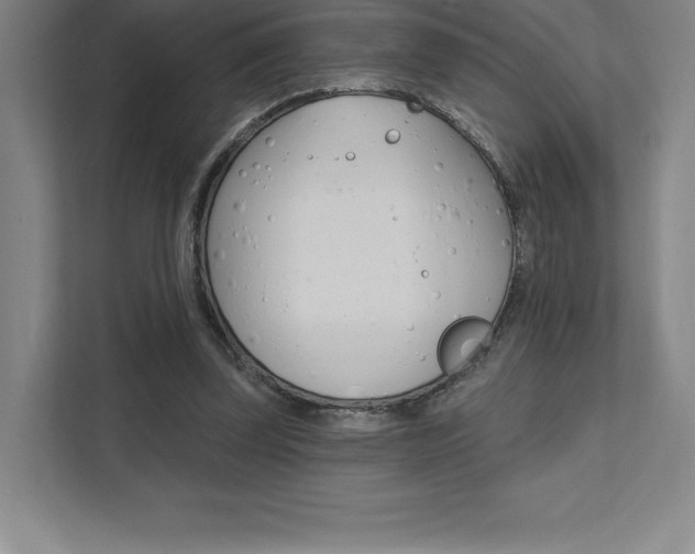 X0000112030347200908031026
