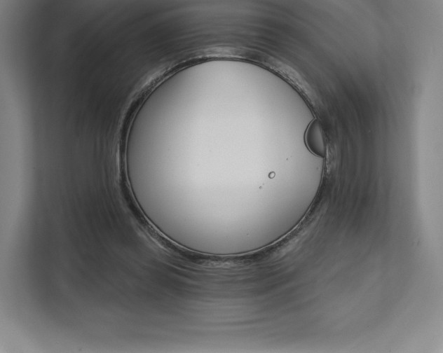X0000112030349200908031027
