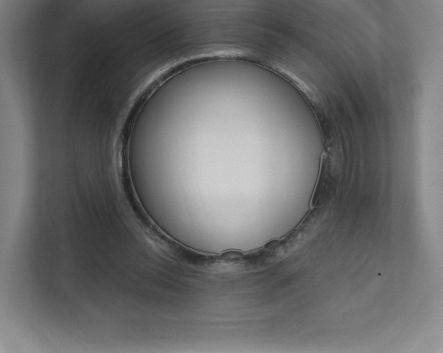 X0000112030350200908031027