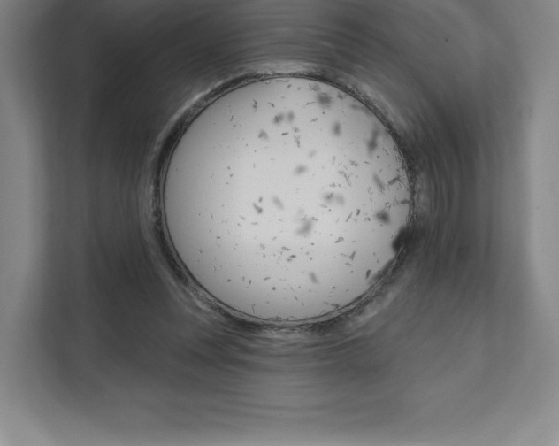 X0000112030351200908031027