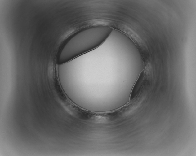 X0000112030352200908031027