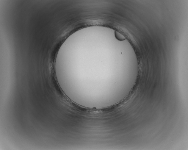 X0000112030355200908031027
