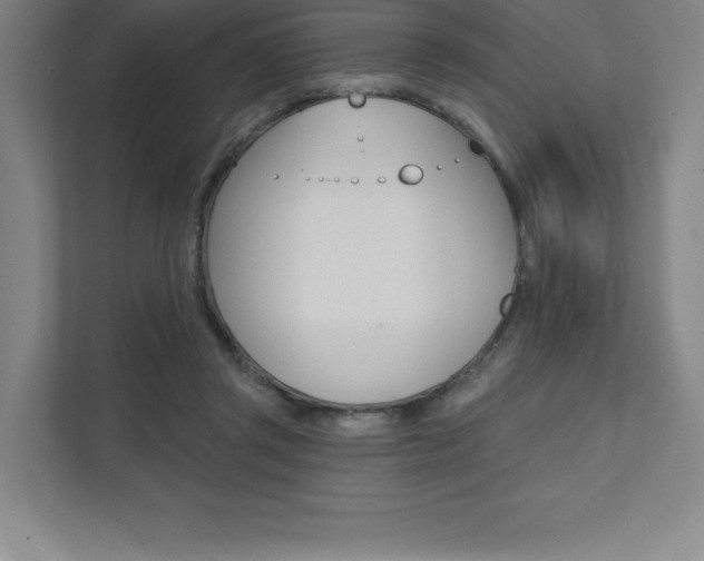 X0000112030357200908031027