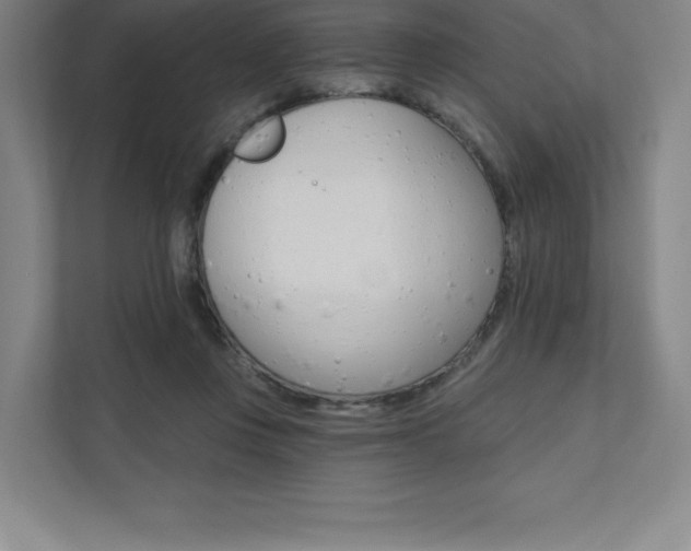 X0000112030359200908031027