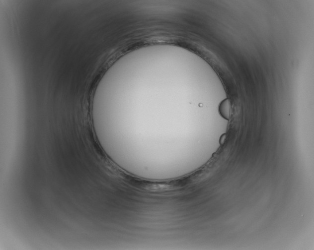 X0000112030361200908031027