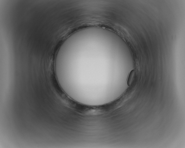 X0000112030364200908031027