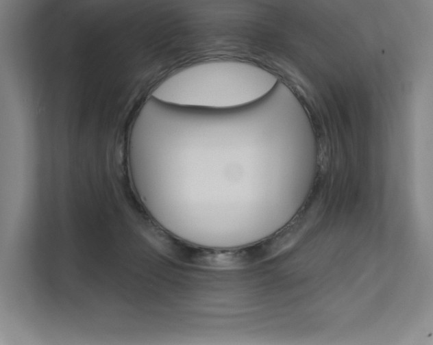 X0000112030365200908031027