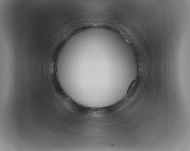 X0000112030368200908031027