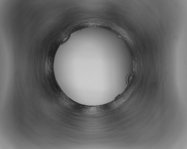 X0000112030382200908031027