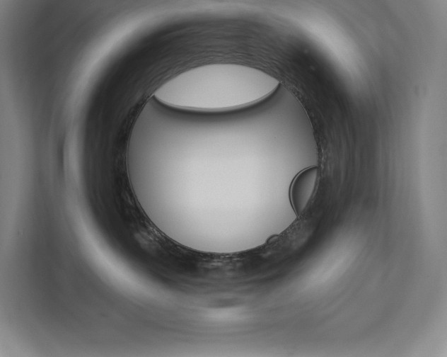 X0000112030383200908031027