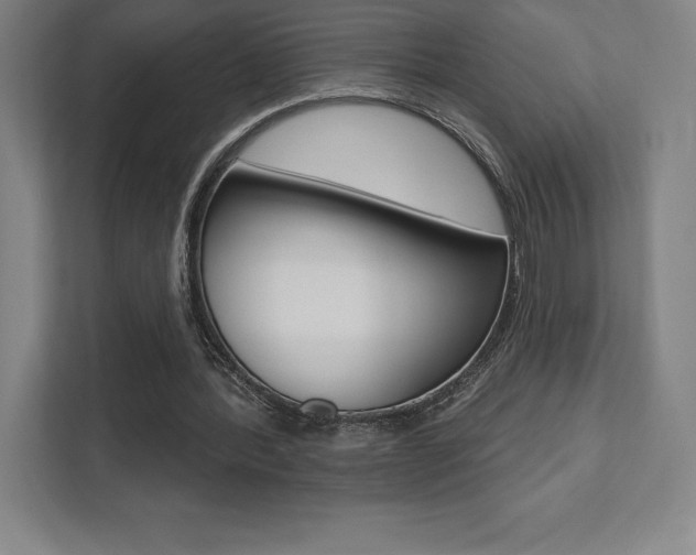 X0000112030388200908031026