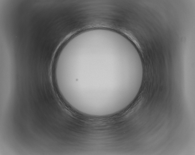 X0000112030395200908031026