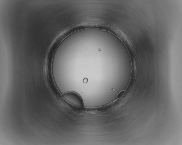 X0000112030396200908031026