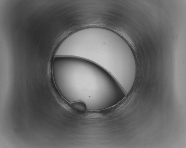 X0000112030397200908031026