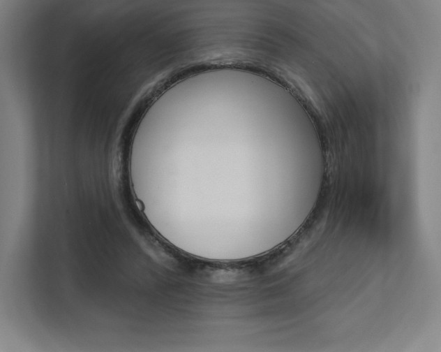 X0000112030400200908031026