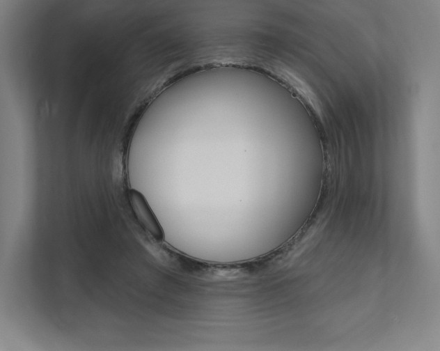 X0000112030401200908031026
