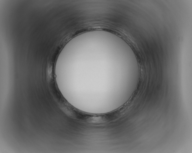X0000112030406200908031026