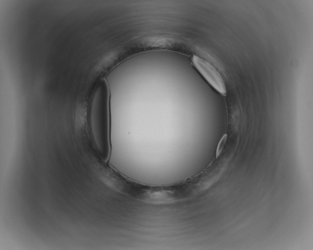 X0000112030407200908031026