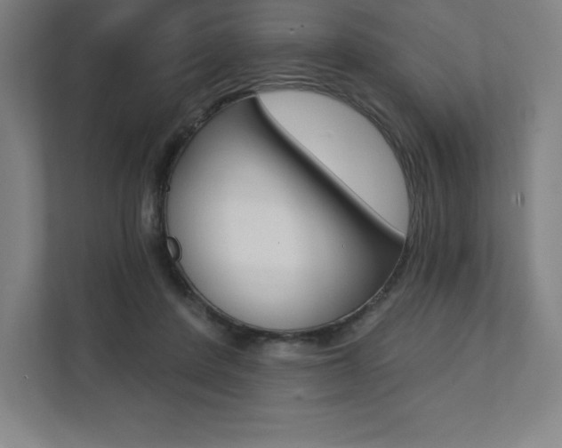 X0000112030408200908031026