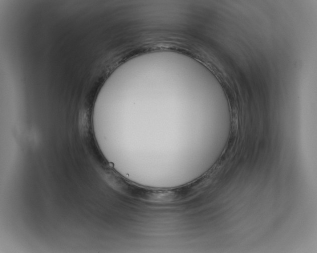 X0000112030410200908031026