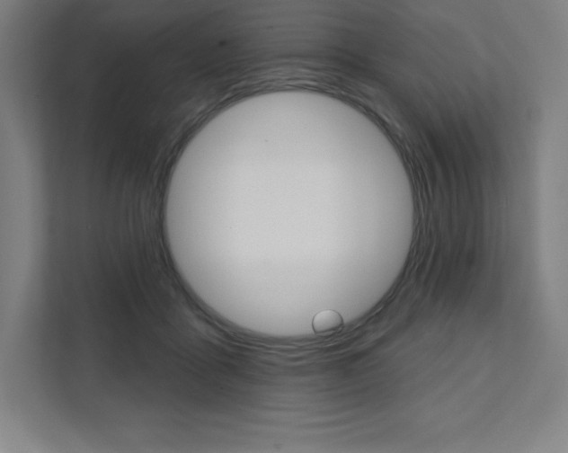 X0000112030411200908031026