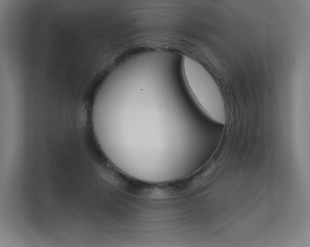 X0000112030412200908031026