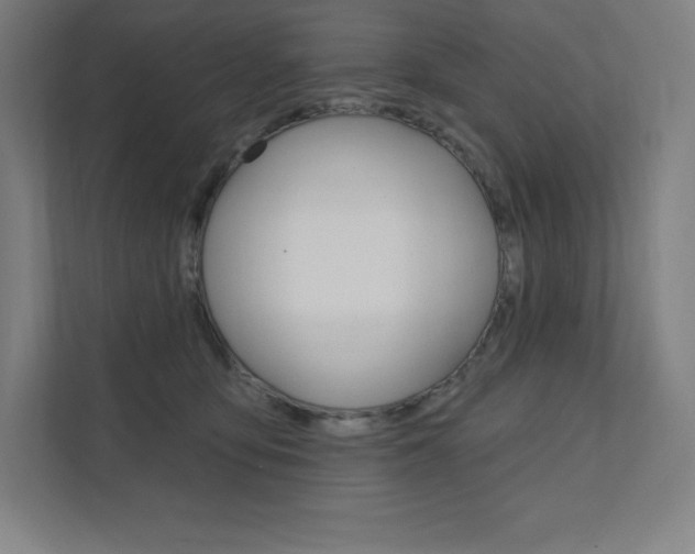 X0000112030419200908031026