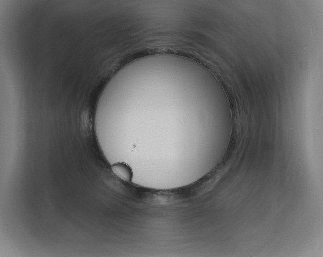 X0000112030420200908031026