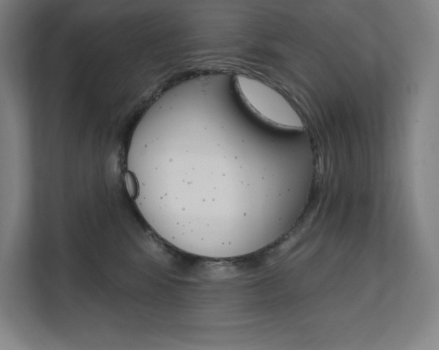 X0000112030424200908031026