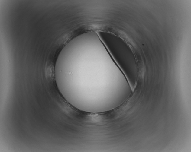X0000112030425200908031026
