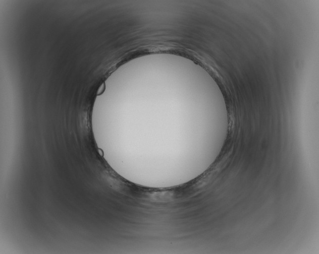 X0000112030426200908031026