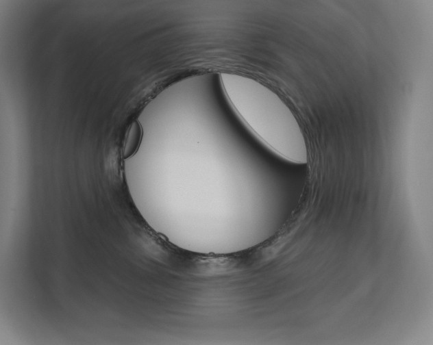 X0000112030428200908031026