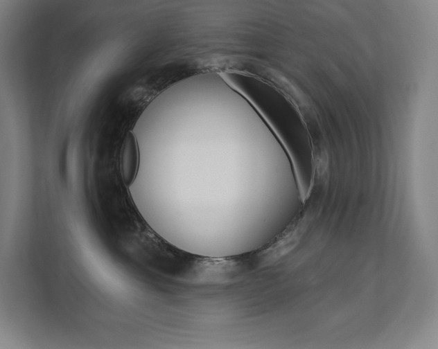 X0000112030429200908031026