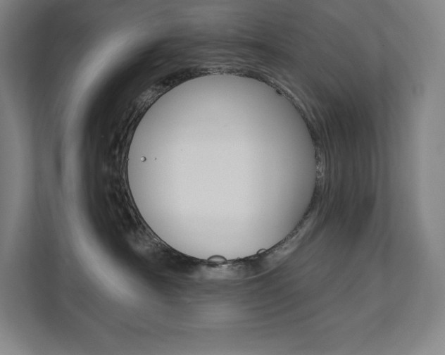 X0000112030430200908031026