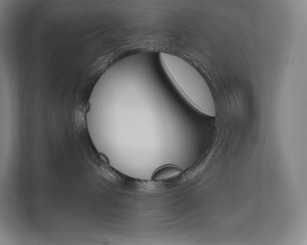X0000112030432200908031026