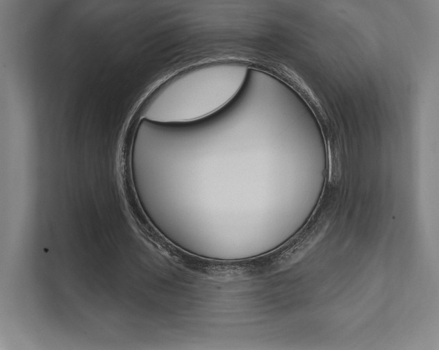 X0000112030435200908031025