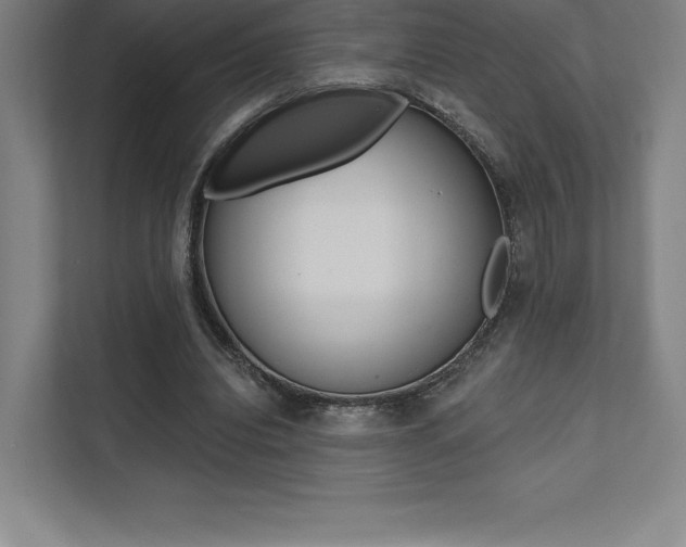 X0000112030440200908031025