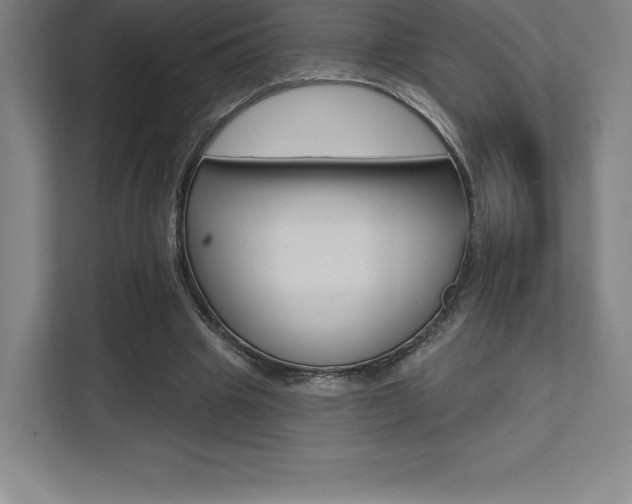 X0000112030441200908031025
