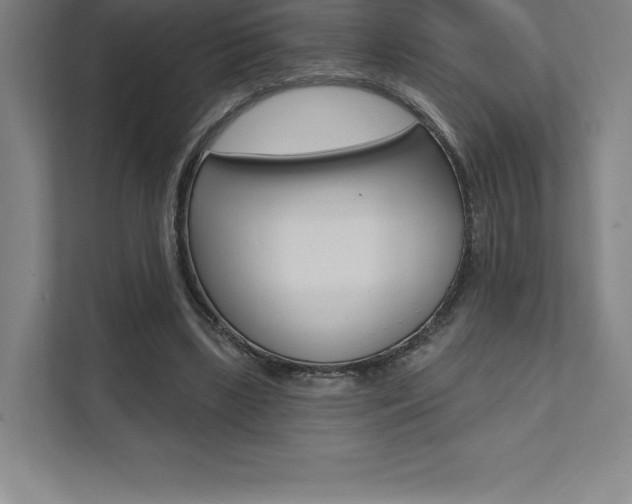 X0000112030443200908031025