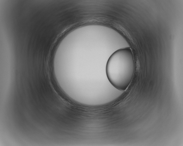 X0000112030444200908031025