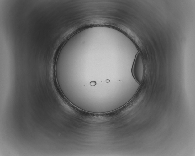 X0000112030445200908031025