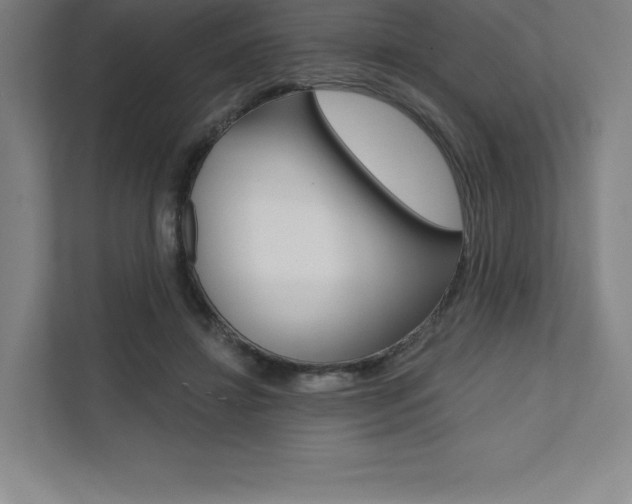 X0000112030452200908031025