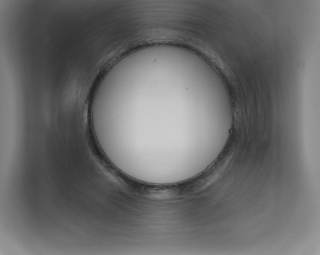 X0000112030454200908031025