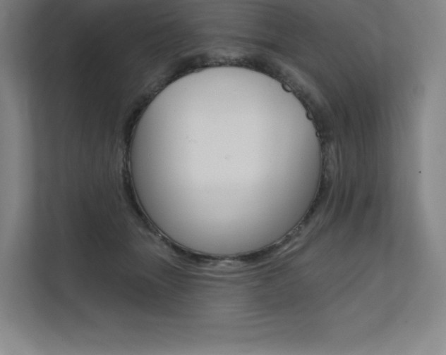 X0000112030463200908031026