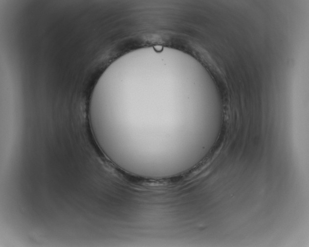 X0000112030466200908031026