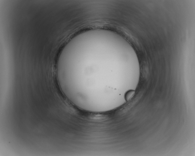 X0000112030467200908031026