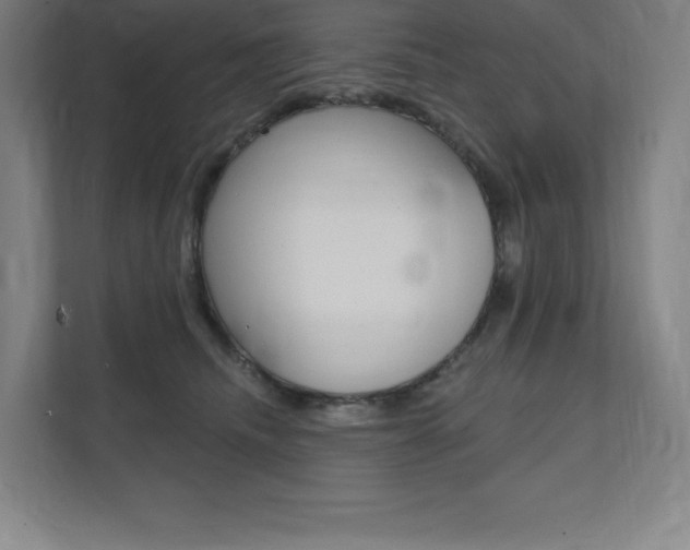 X0000112030468200908031026